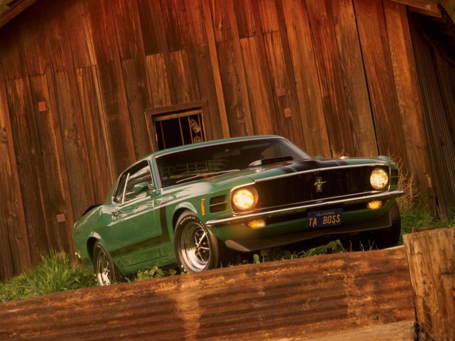  Ford Mustang Boss 302 Sportroof 1970 года  (фото 3 из 10)